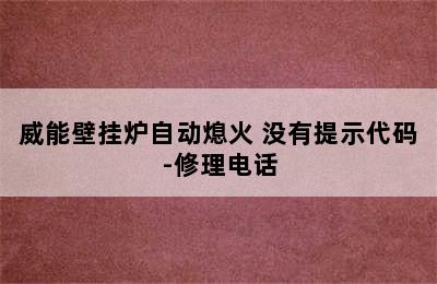 威能壁挂炉自动熄火 没有提示代码-修理电话